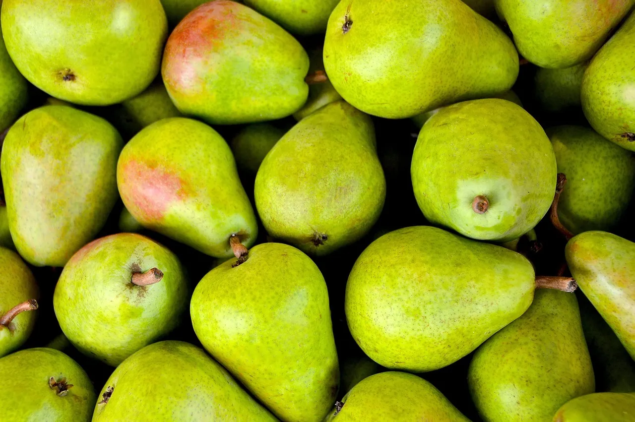 Hajerősítő vitamin nőknek – a dús haj titkai és előnyei